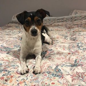 Meet your Posher, Heidi